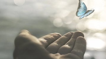 Decesos